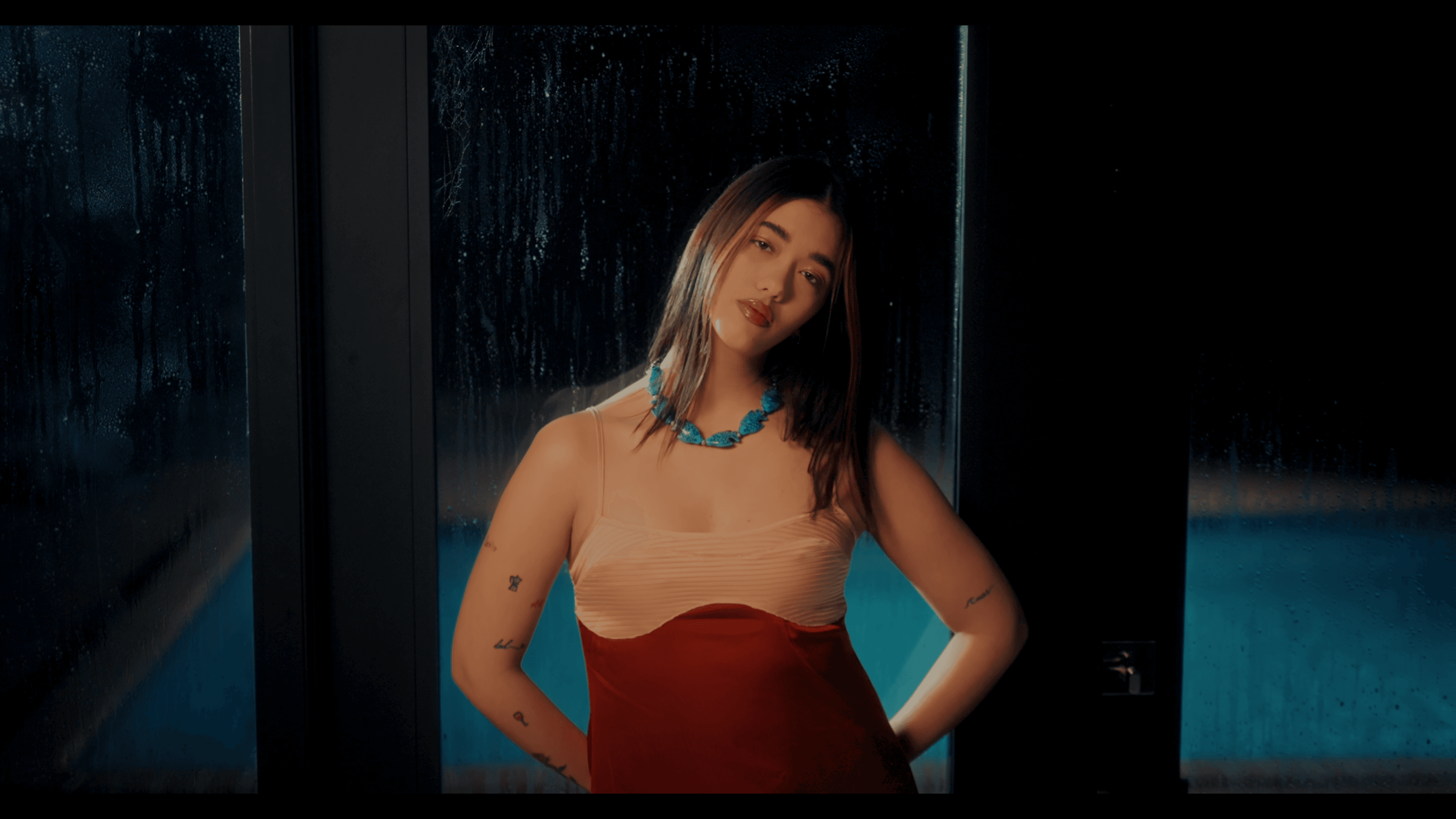 FILMS / VIDEO